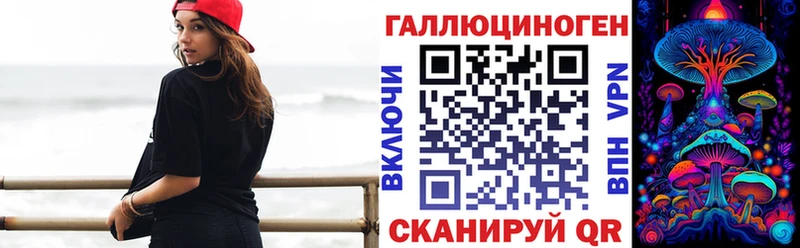 Купить закладки  Братск  Псилоцибиновые грибы Psilocybine cubensis 